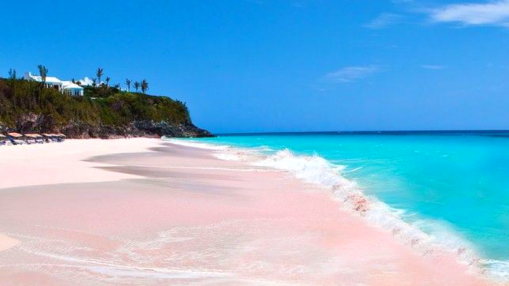 Pink Sands
