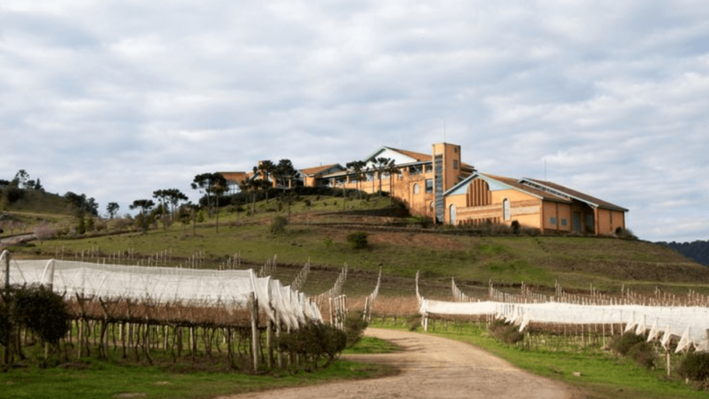 Conheça a incrível Vinícola Villa Francioni, localizada na cidade de São Joaquim, em Santa Catarina.