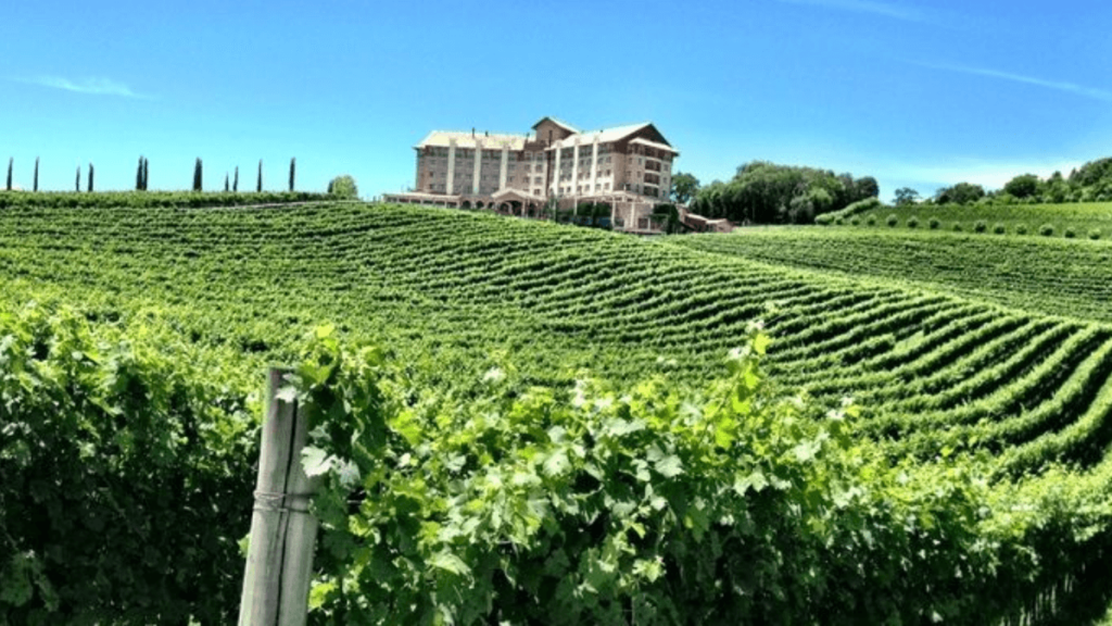 Imagem da Vinícola do Miolo, na capital do vinho.