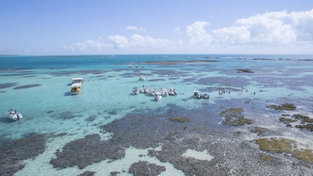 Piscinas Naturais: Imagem das Piscinas nas Gales de Maragogi, Na cidade de Maragogi.