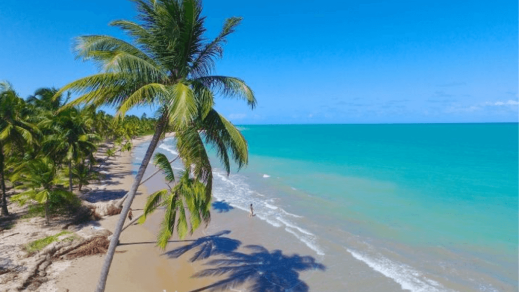 Tabua das marés Maceió: imagem de praia na cidade de Maceió, em Alagoas.