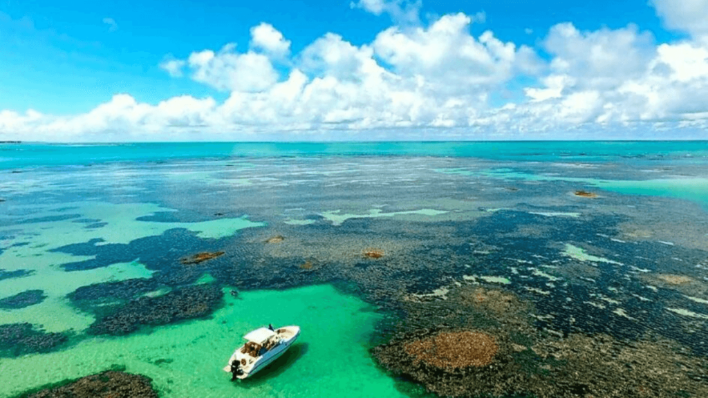 Piscinas Naturais: Imagem das Piscinas naturais em Paripueira, no estado de Alagoas. 