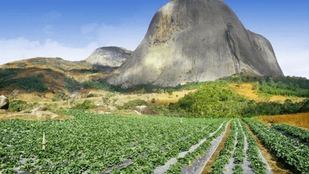 imagem da Plantação Orgânica em Pedra Azul