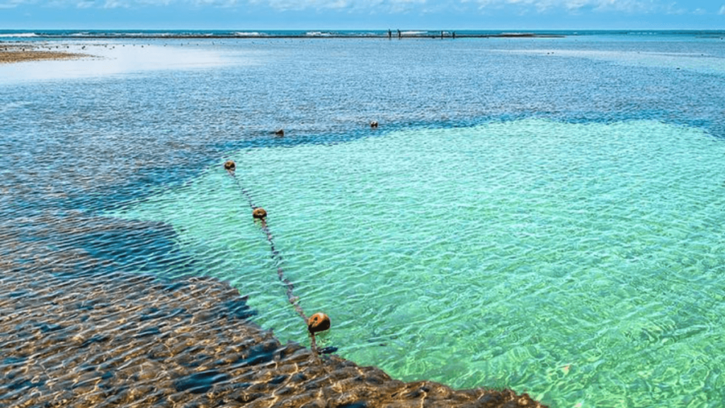 Piscinas Naturais: Imagem de Piscinas Naturais no Porto de Galinhas, no estado de Pernambuco.