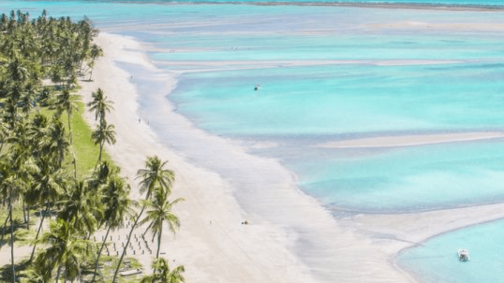 Imagem de praia localizada na cidade de Maragogi