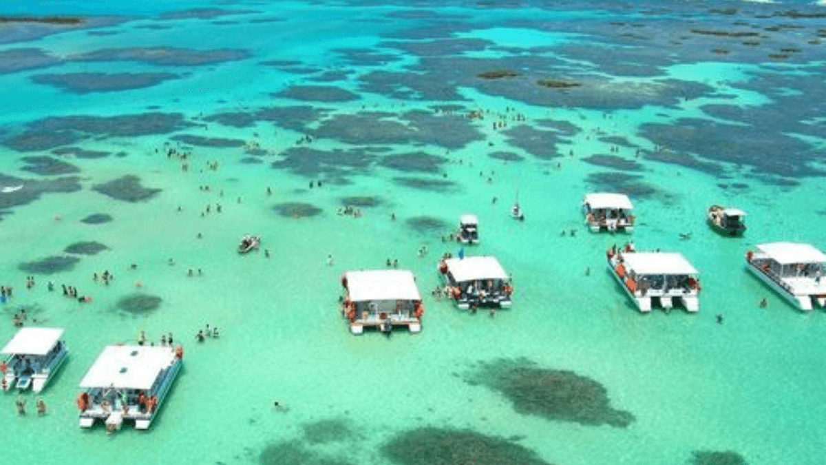 Maragogi Praias: Imagem de praia na cidade de Maragogi, conheça as melhores praias!
