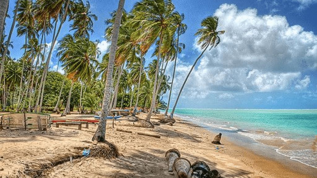 Imagem da Praia de Peroba, na cidade de Maragogi.
