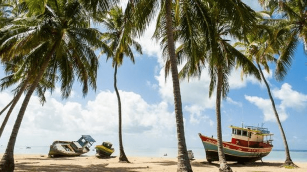 Imagem da Praia de São Bento, na cidade de Maragogi.