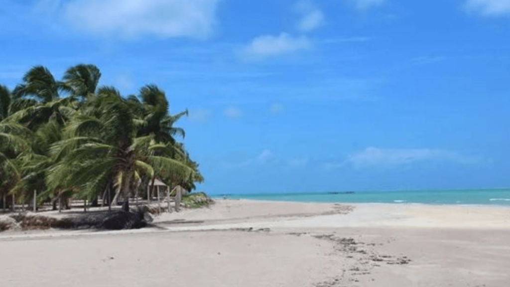 Imagem da Praia de Xaréu, em Maragogi