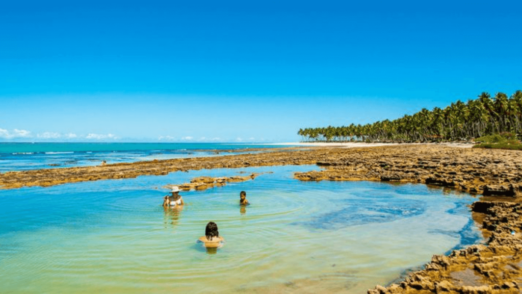 Piscinas Naturais: Imagem da Praia dos Carneiros, no estado de Pernambuco. 