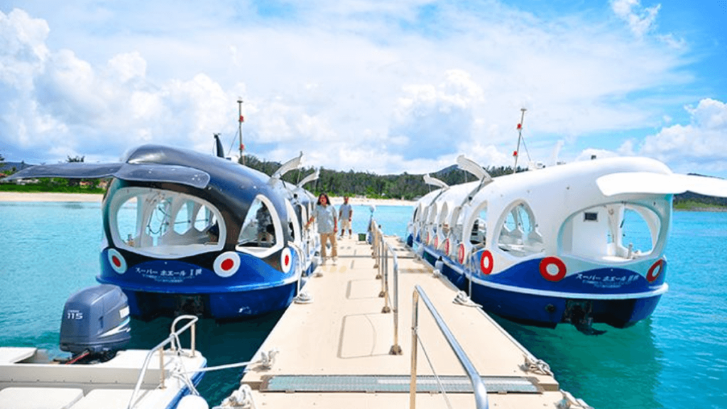 Imagem do Busena Marine Park
