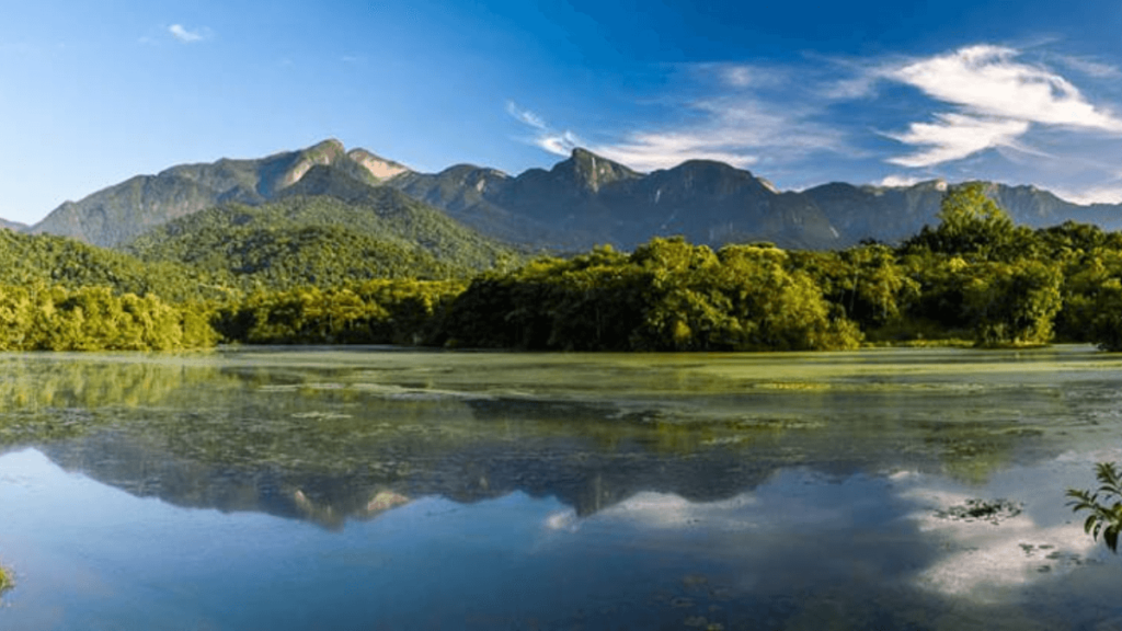  REGUA- Reserva Ecológica de Guapiaçu