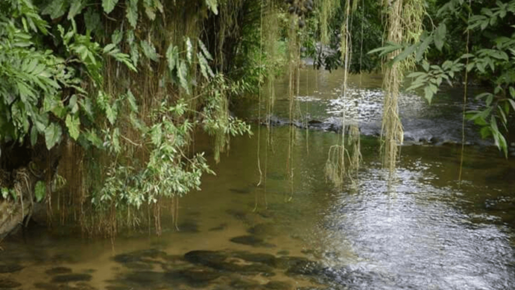 Cidade de Cachoeiras de Macacu, no Rio de Janeiro 