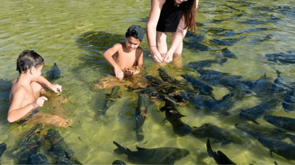Imagem de crianças brincando com os Tambaquis.
