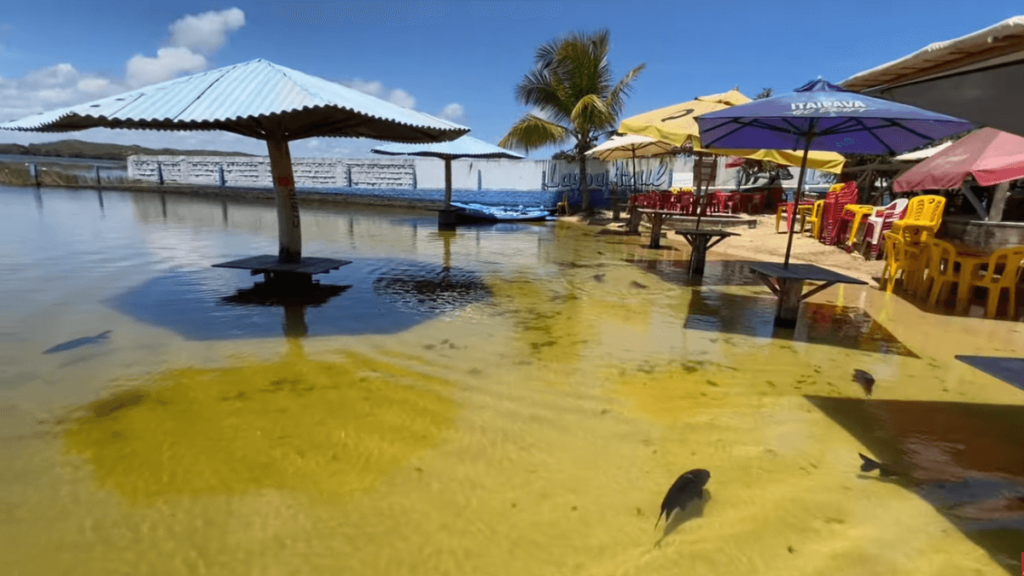 Imagem dos quiosques na Lagoa dos Tambaquis.