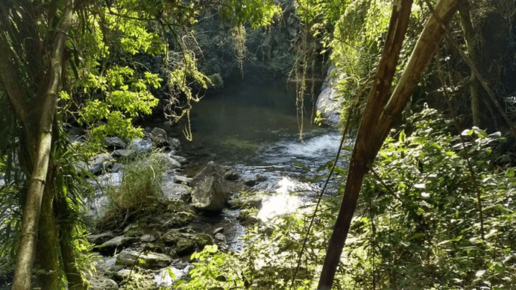 Imagem do Poço das Samambaias