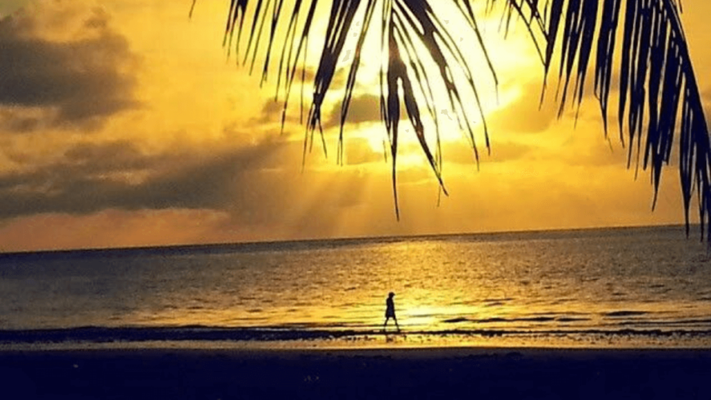 Praia de Ponta de Campina