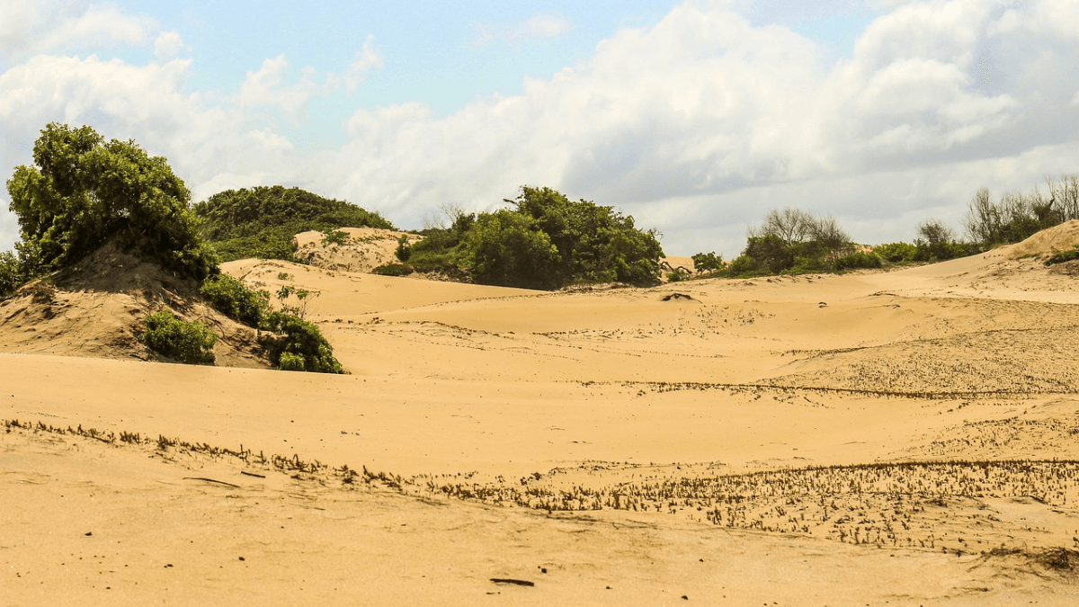 Lindas Dunas em Itaúnas