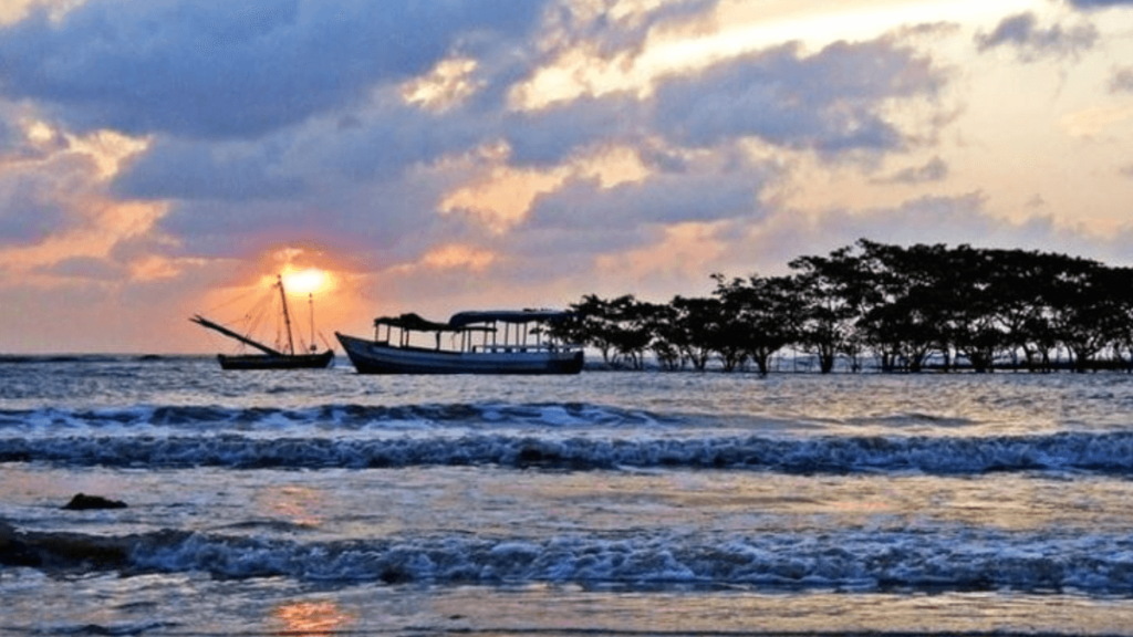 Praia de Algodoal