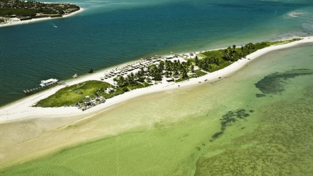 Conheça a Ilha de Itamaracá