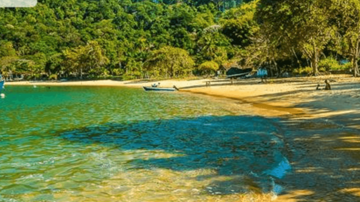 Imagem da Praia do Flamengo