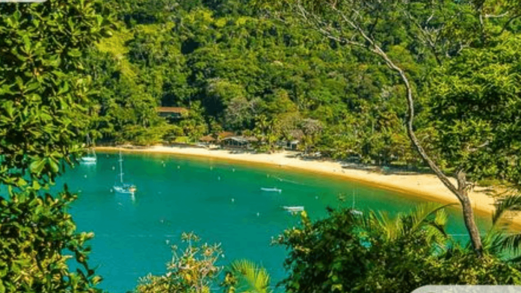 Veja a Praia do Flamengo