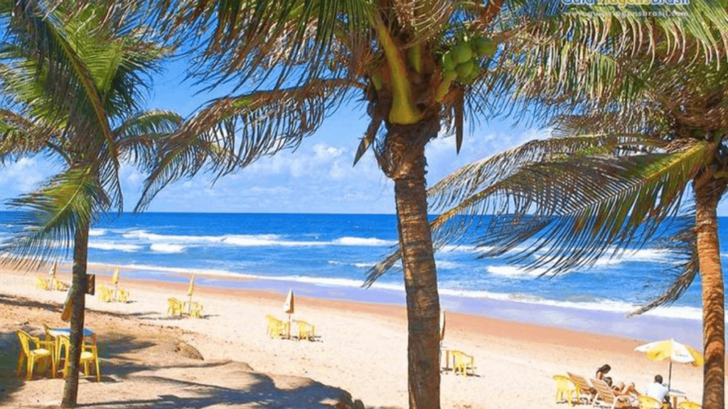 Conheça a Praia do Flamengo
