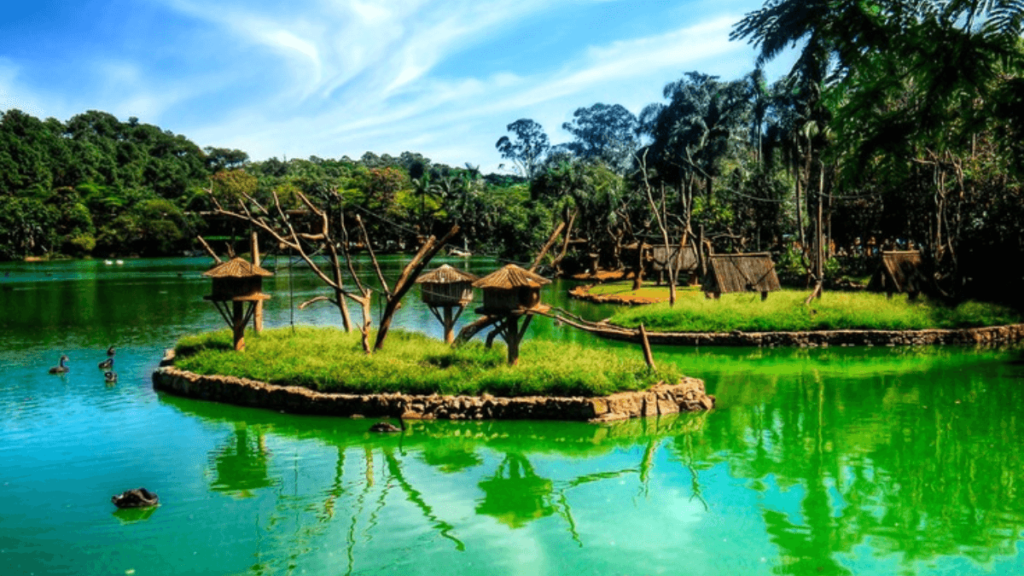 Imagem do Zoológico de São Paulo 