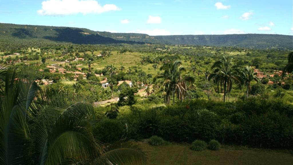 Conheça Chapada do Araripe
