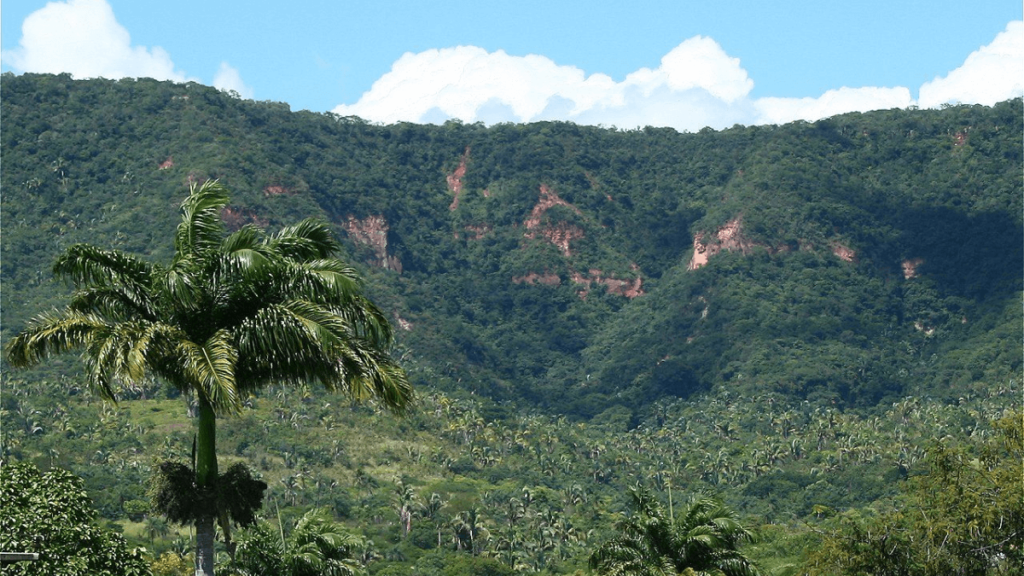 Chapada do Araripe