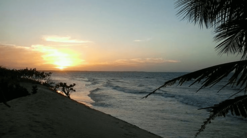 Veja Areia Branca