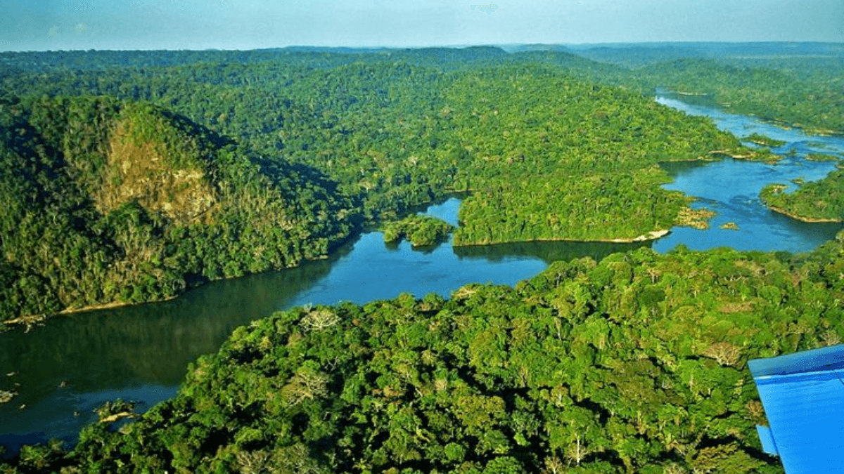Quando ir para Amazônia