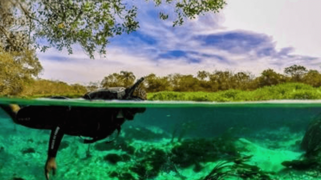 Quando ir para Bonito