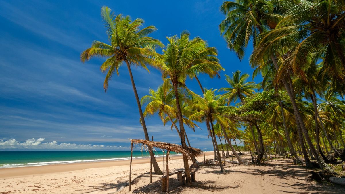 Quando ir para Peninsula de Marau