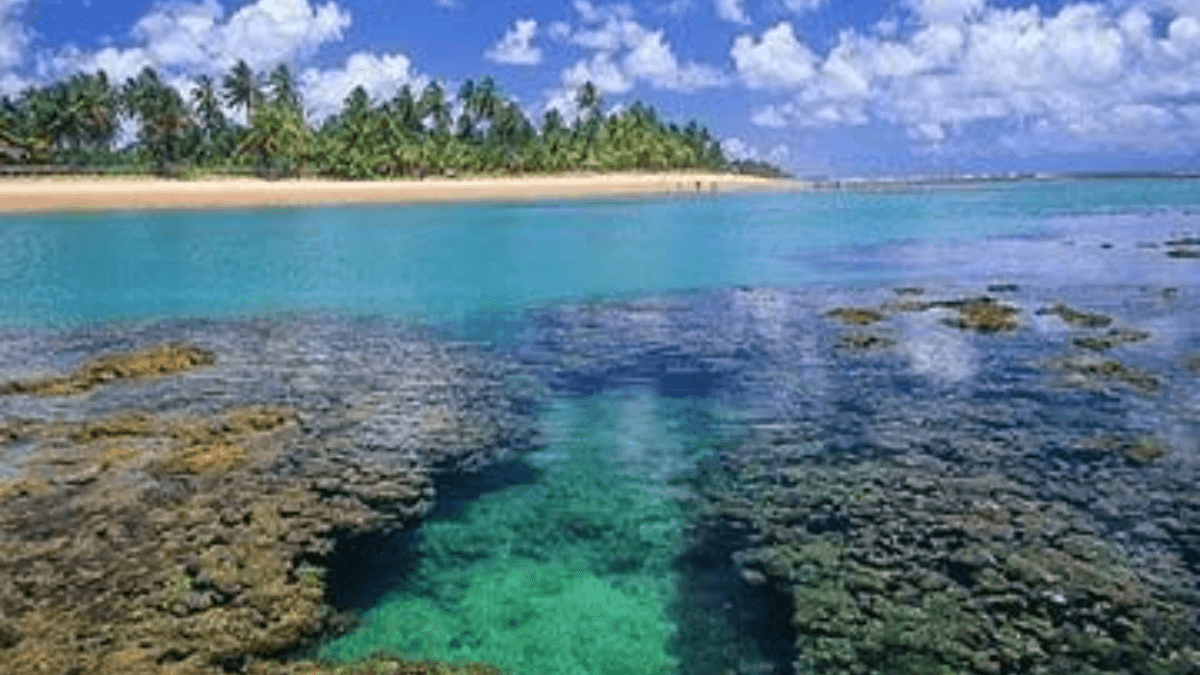 Quando ir para Peninsula de Marau