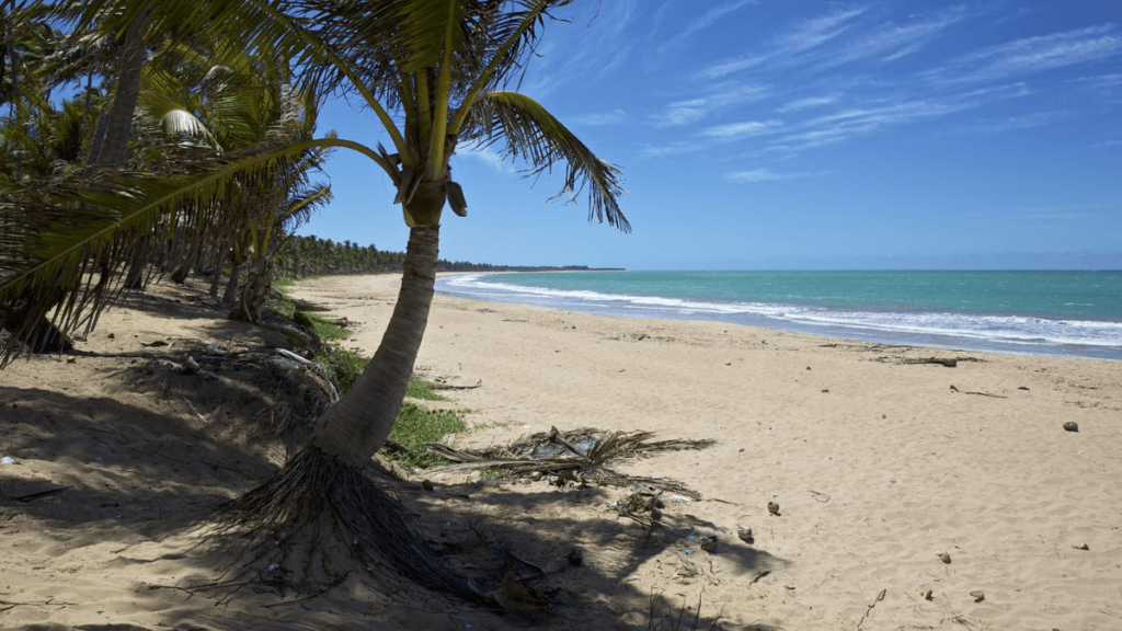 Praia da Sereia