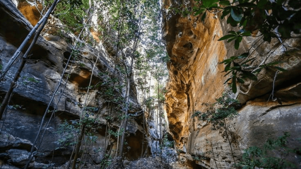 Veja as Belezas do Piauí