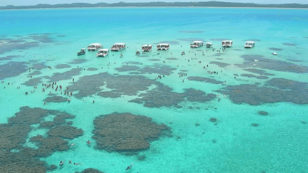 Passeios em Maragogi