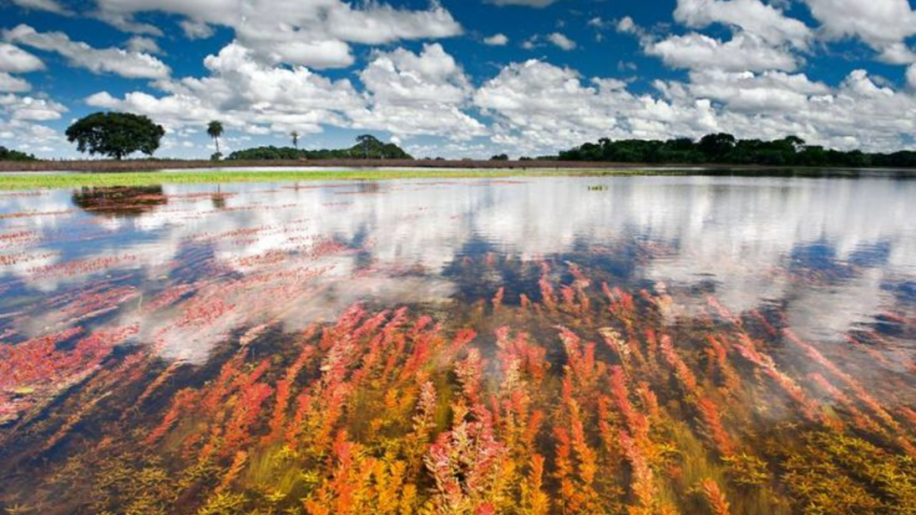 Lugar incrível no Mato Grosso