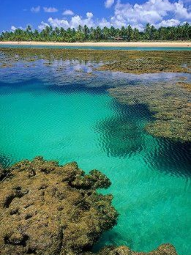 Praia do Espelho em Trancoso: Saiba tudo sobre o destino!