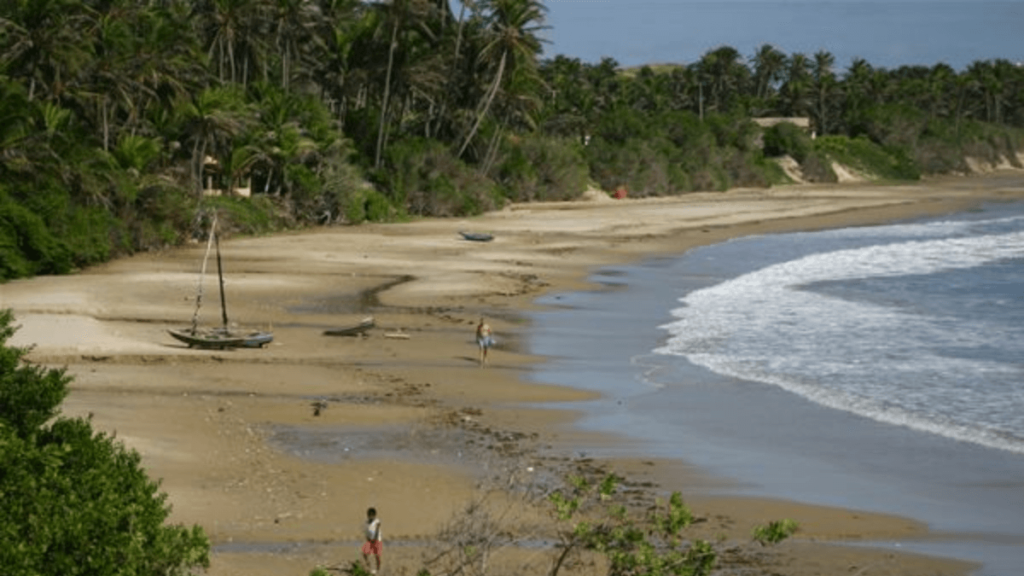 Veja Praia da Baleia