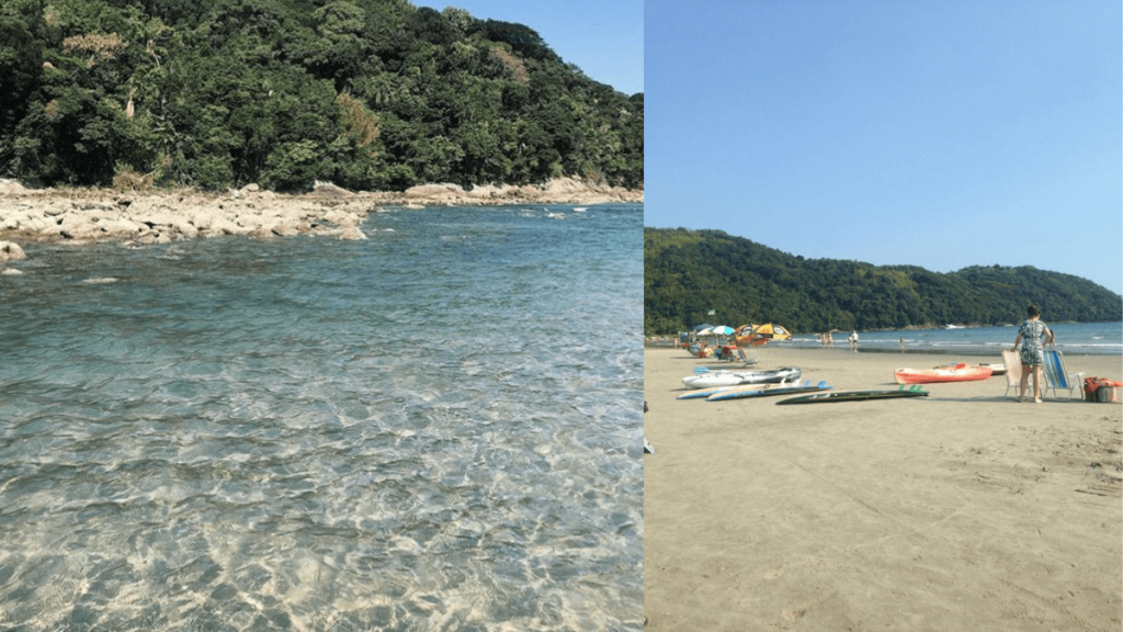 Veja a Praia da Baleia