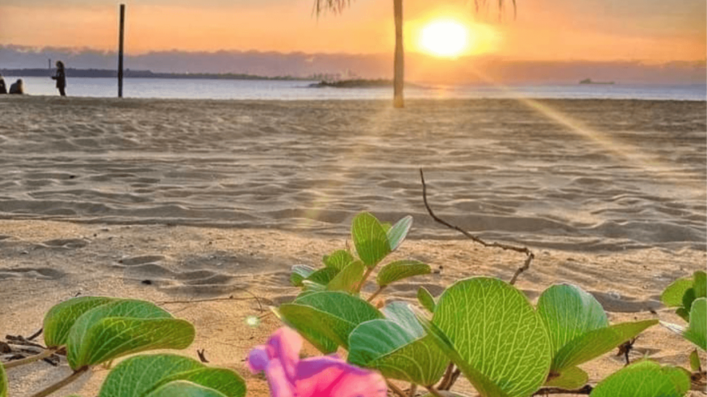 Praia de Camburi
