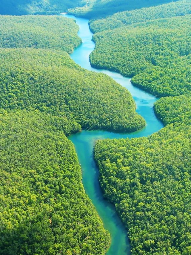 Lugares para conhecer no Amazonas