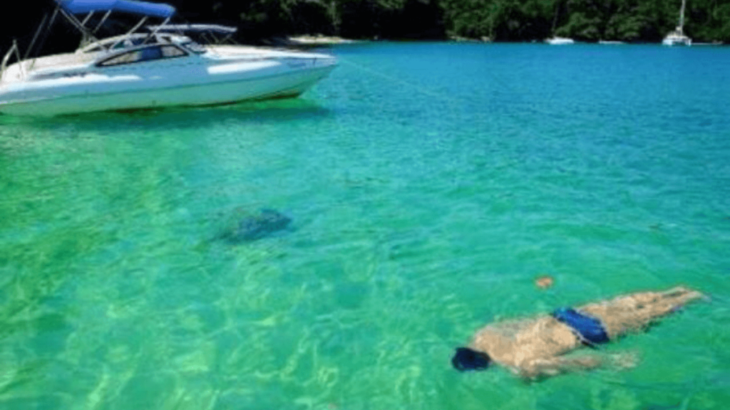 Pessoa nadando na Praia do Dentista