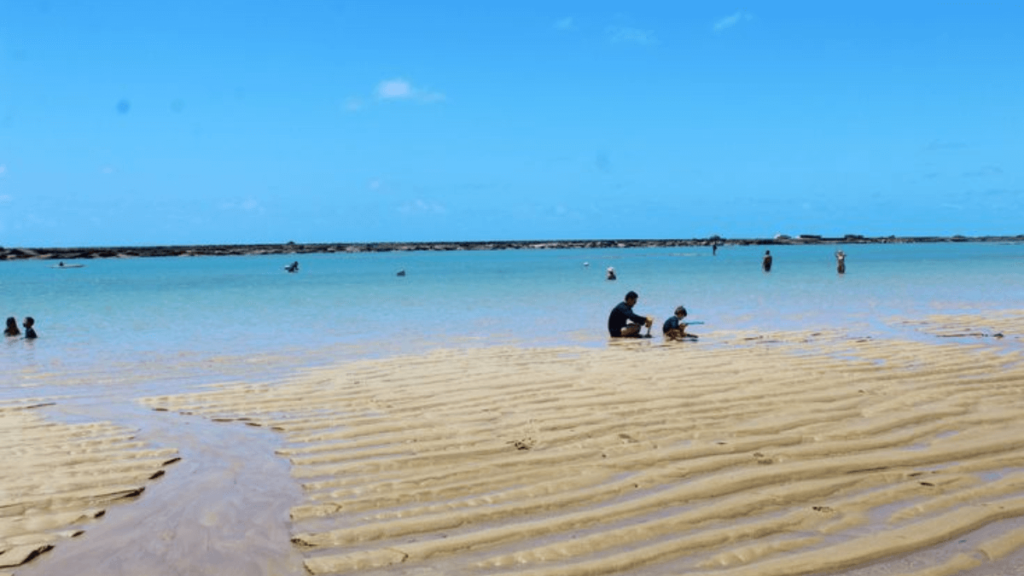 Barra de São Miguel