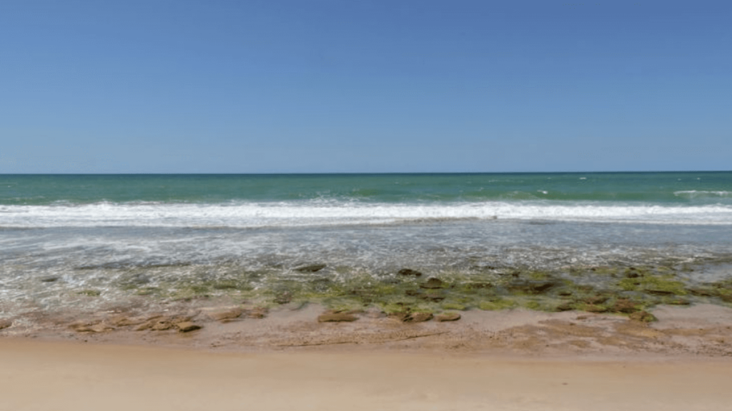 Barra de São Miguel