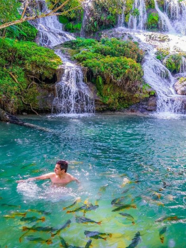 Não viaje para Bonito MS antes de saber isso! Cachoeira e rio com peixinhos