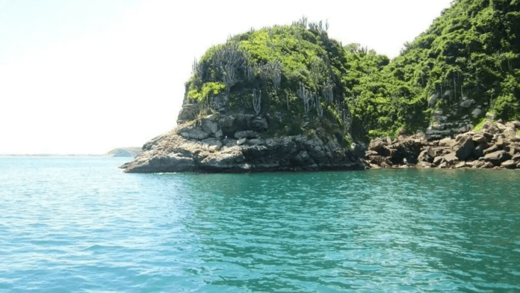 Conheça a Ilha do Papagaio