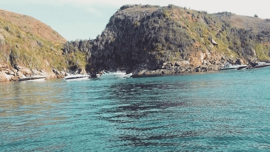 Descubra a Ilha do Papagaio